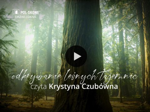Odkrywamy leśne tajemnice — czyta Krystyna Czubówna!